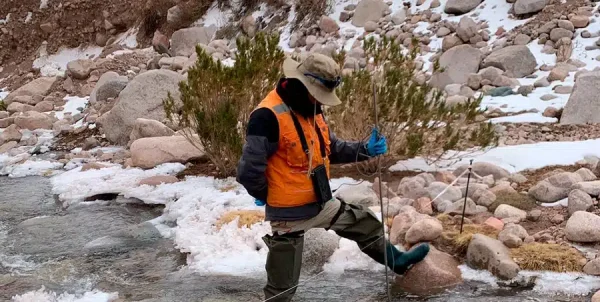 Monitoreo de Aguas en el Sector Chileno del proyecto Filo del Sol